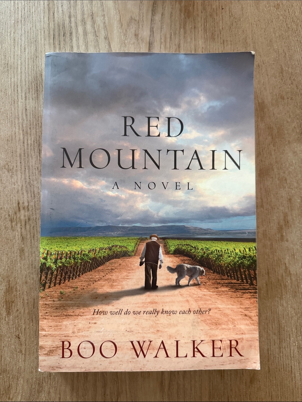 Red Mountain book Novel - Scenic Blue & Green Cover